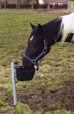 Frostfri drikkeautomat til k&oslash;er og heste - 60 cm